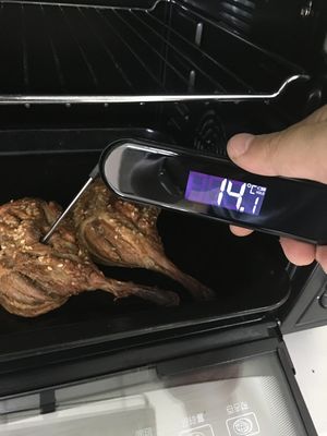 InstaProbe (менее 0,6 секунды) Профессиональный термометр мяса цифровой, мгновенно считываемый термометр с OLED-дисплеем, водонепроницаемый IP67 для гриля, барбекю, приготовления пищи, курения, домашнего пива, сертифицированный NSF