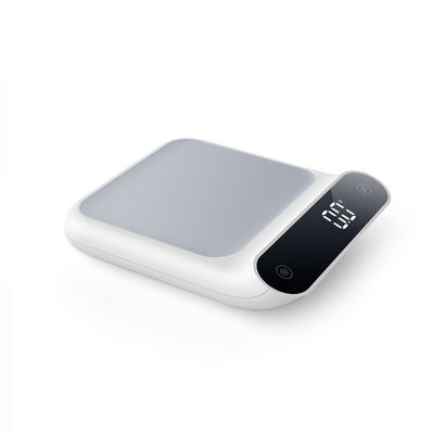 масштаб цифров домочадца масштаба кофе кухни 0.5g портативный мини